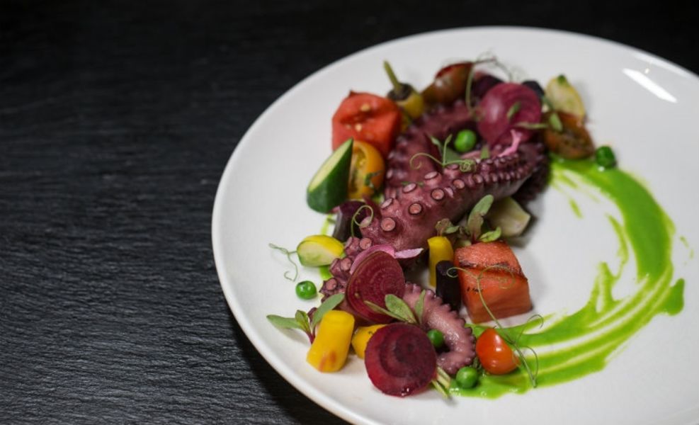 Octopus Dish