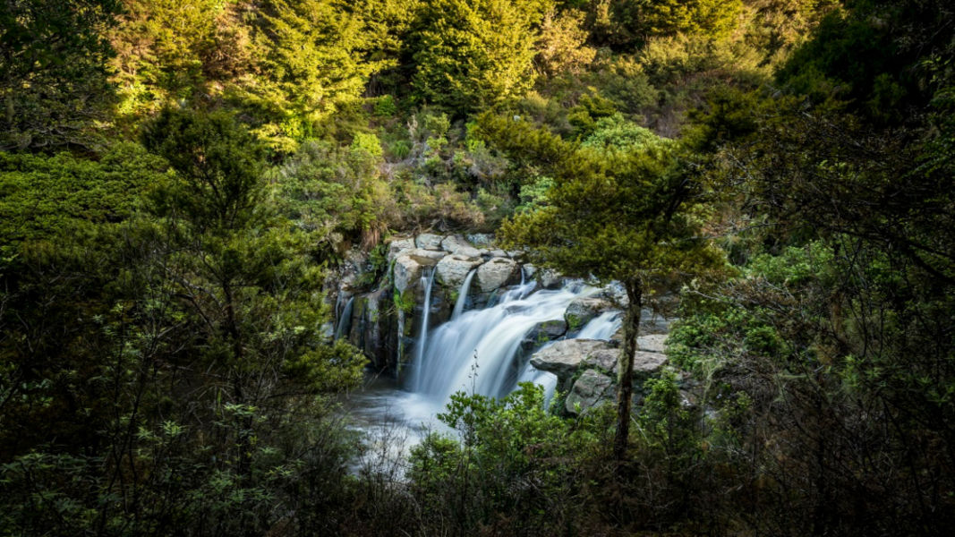 KAURI CLIFFS