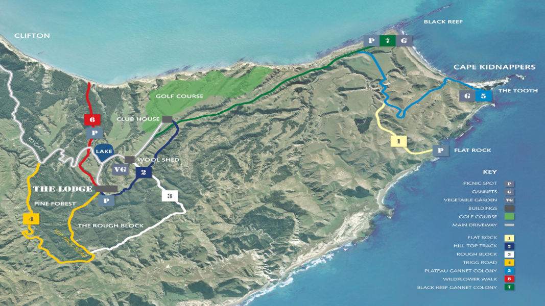 THE FARM AT CAPE KIDNAPPERS