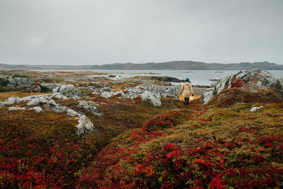 FOGO ISLAND INN