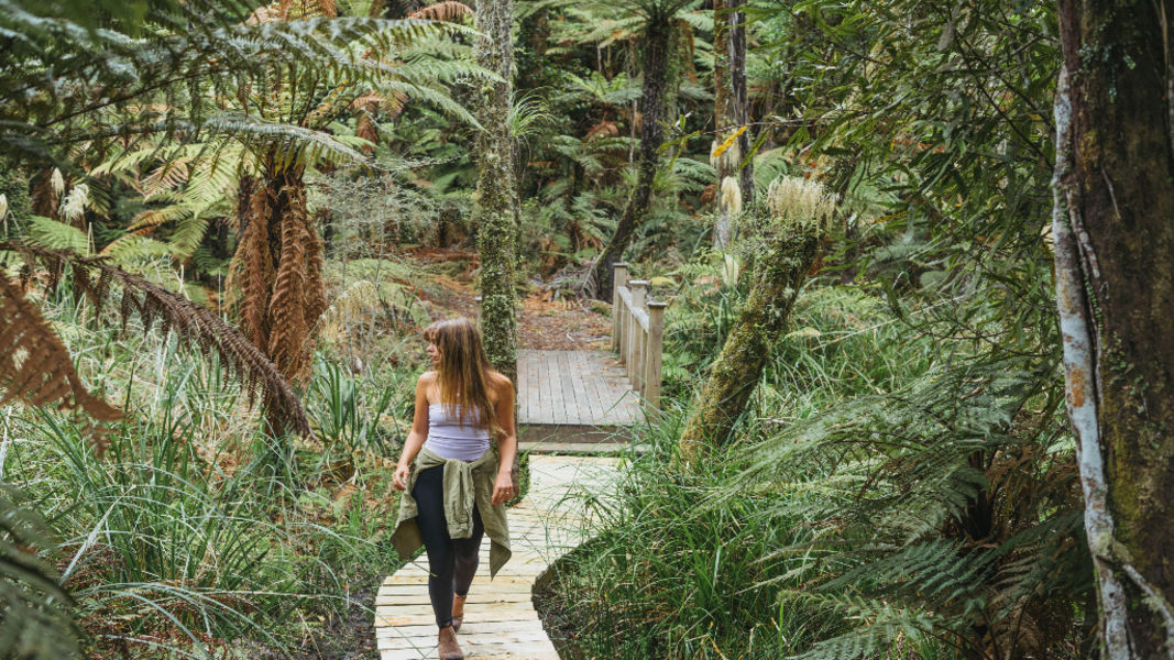 TREETOPS LODGE AND ESTATE