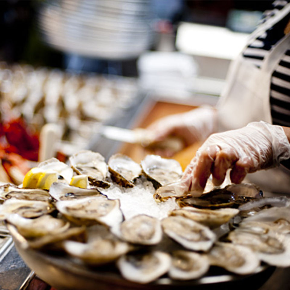 Oysters