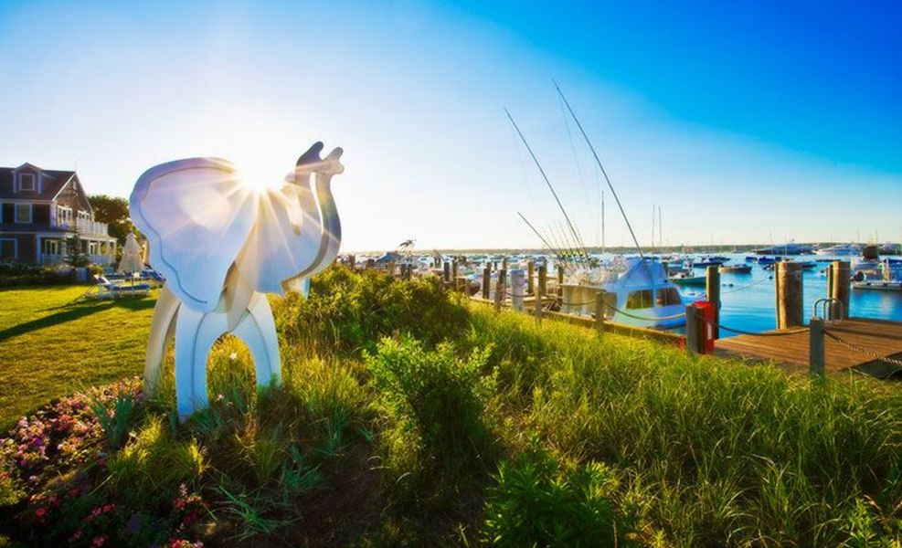 The White Elephant