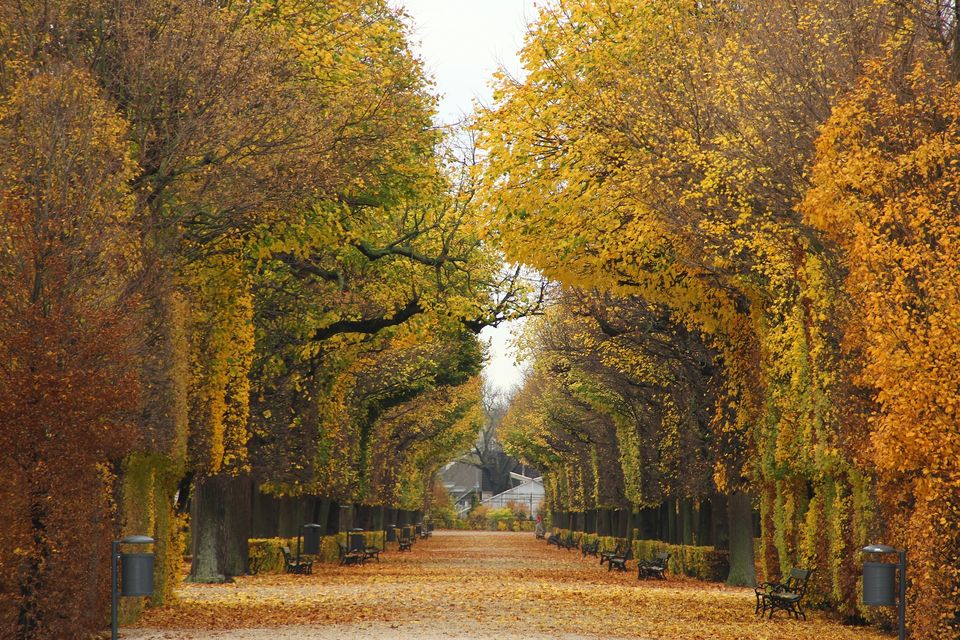 Vienna