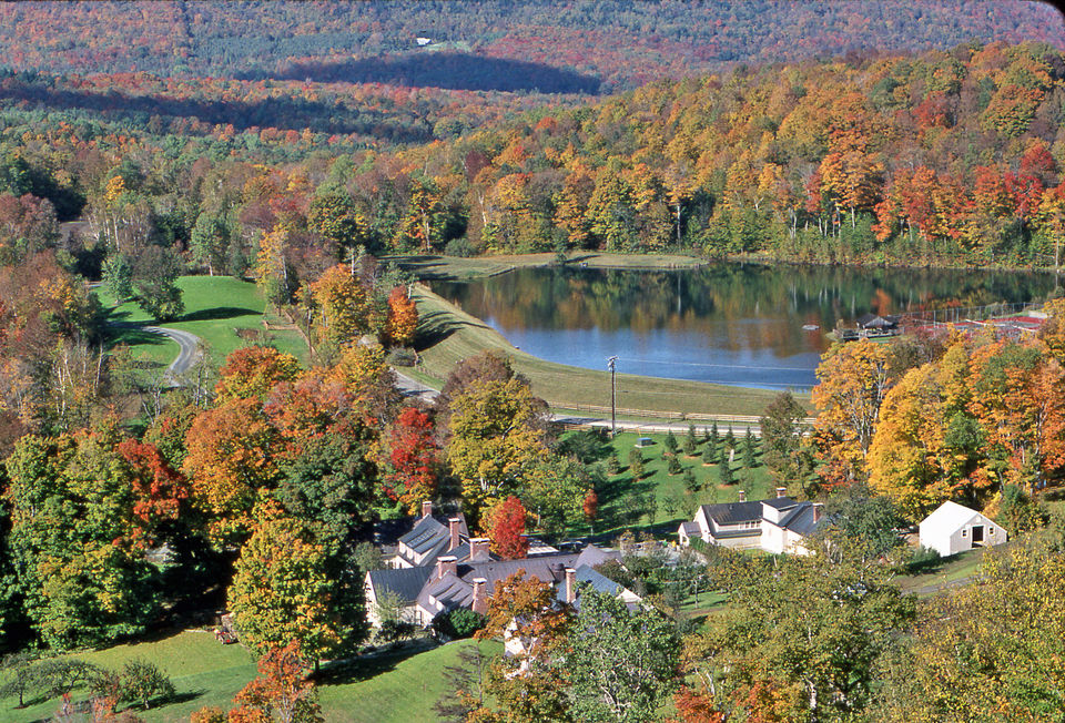 The view of foliage from your Twin Farms cottage
